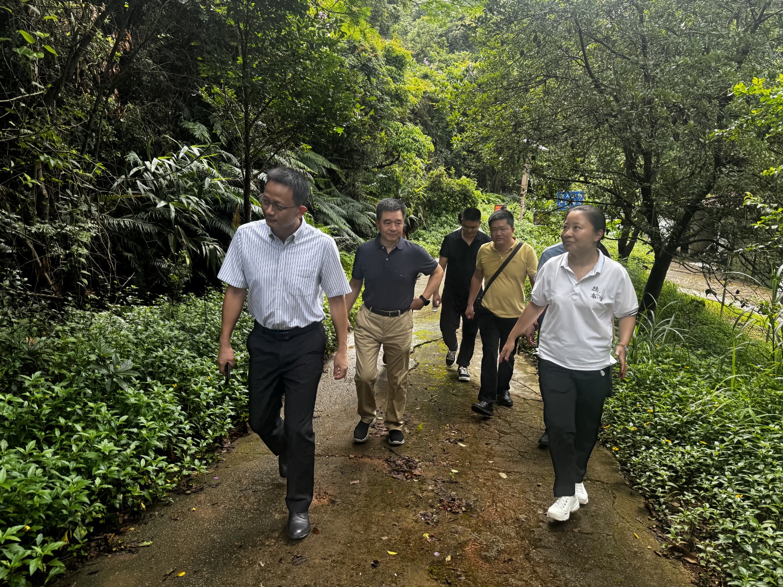 社科专家进基层——乡村行——五桂山调研7.jpg